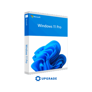 Aggiornare e fare un Upgrade a Windows 11 Professional - Licenza Microsoft